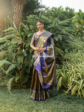 Brown Zari Worked With Royal blue Color Pure Banarasi saree